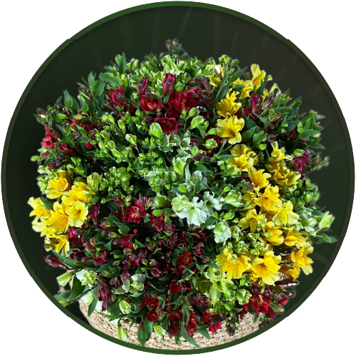 Florincas