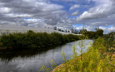 Water Reservoir