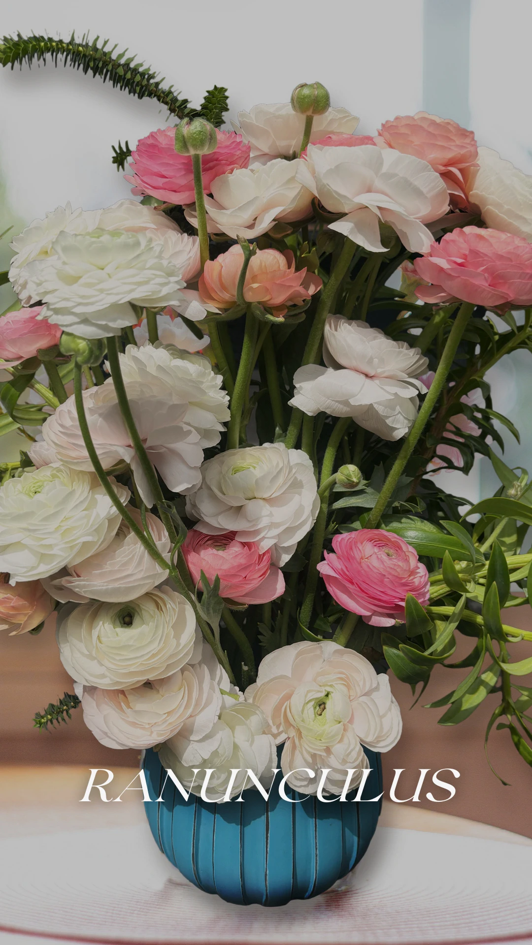 Bouquet of ranunculus in shades of white and pink grown by Geoflora.