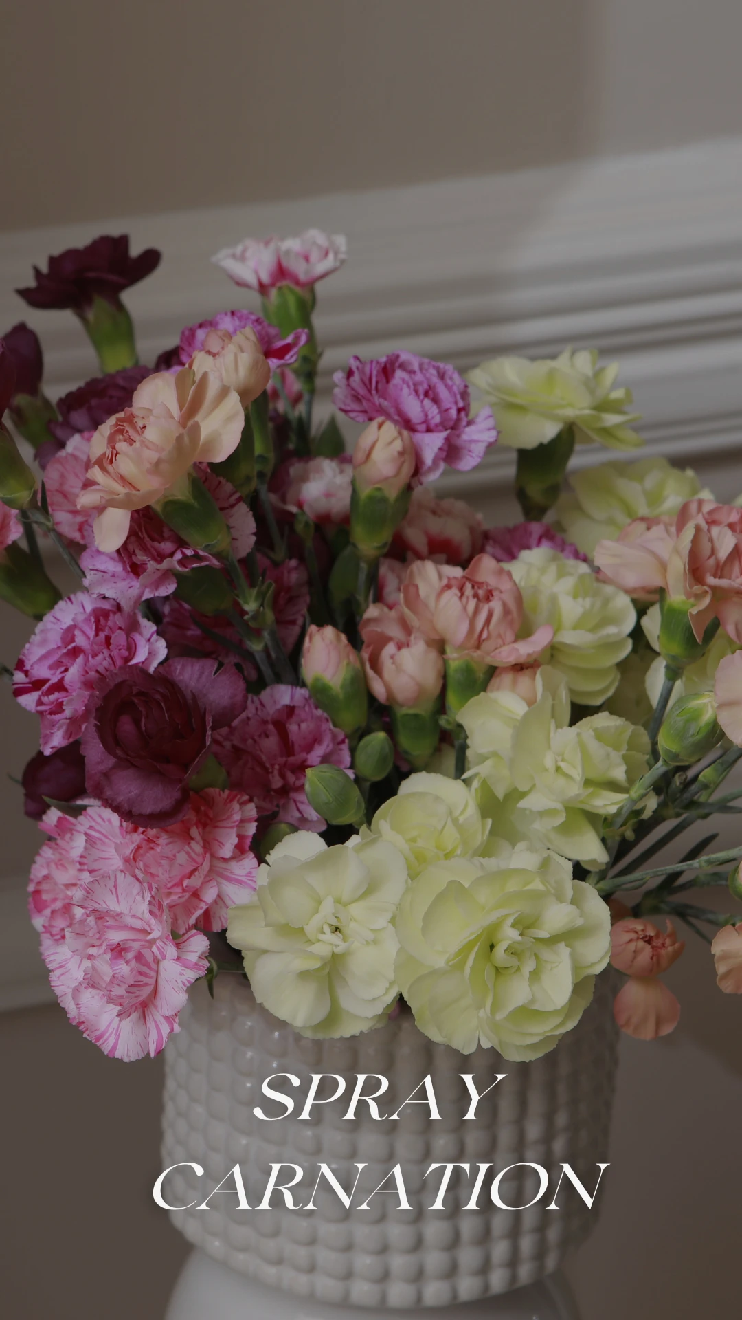 Bouquet of spray carnations in pastel shades grown by Geoflora.