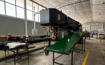Geoflora Implements Bercomex Furora Nova Carnation Grading Machine to Improve Bouquet Quality and Consistency