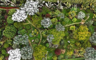 ガーデン・オブ・ライフGarden of Life